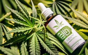 CBD La Cordobesa: La solución natural para tus dolencias