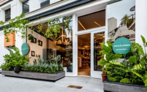 CBD Shop in Tetuan: A unique experience for lovers of natural wellbeing