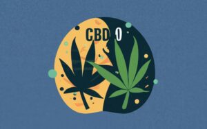 What is the difference between CBD 8 and CBD 9?